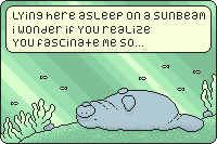 lyrics from 'Asleep on a Sunbeam' by Belle and Sebastian